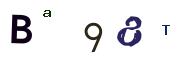Bild-CAPTCHA